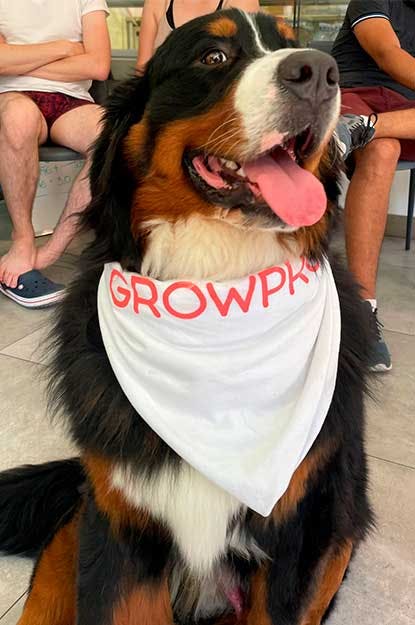 Grower dog mascot
