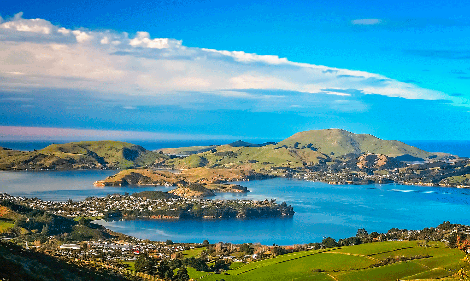 Que ver en Dunedin | 20 Lugares imprescindibles