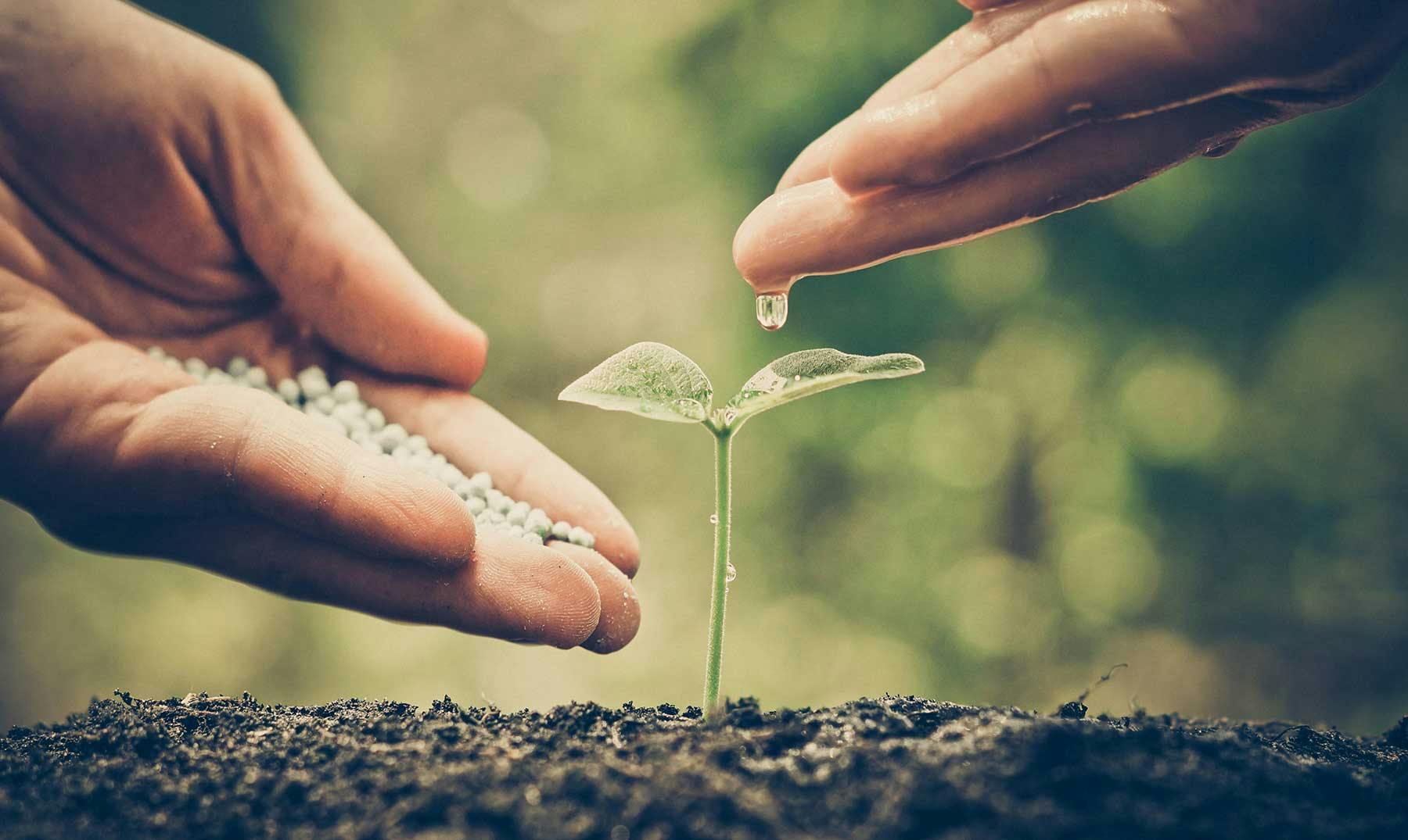 GrowPro Experience | Comprometidos con nuestro Planeta