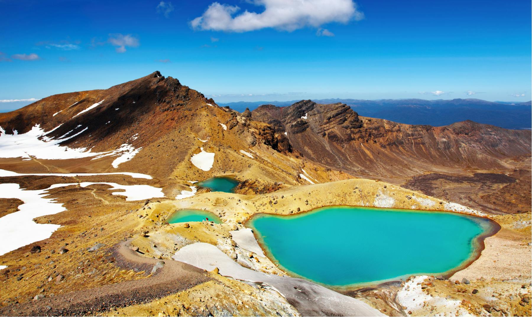 5 Parques Nacionales de Nueva Zelanda que debes visitar
