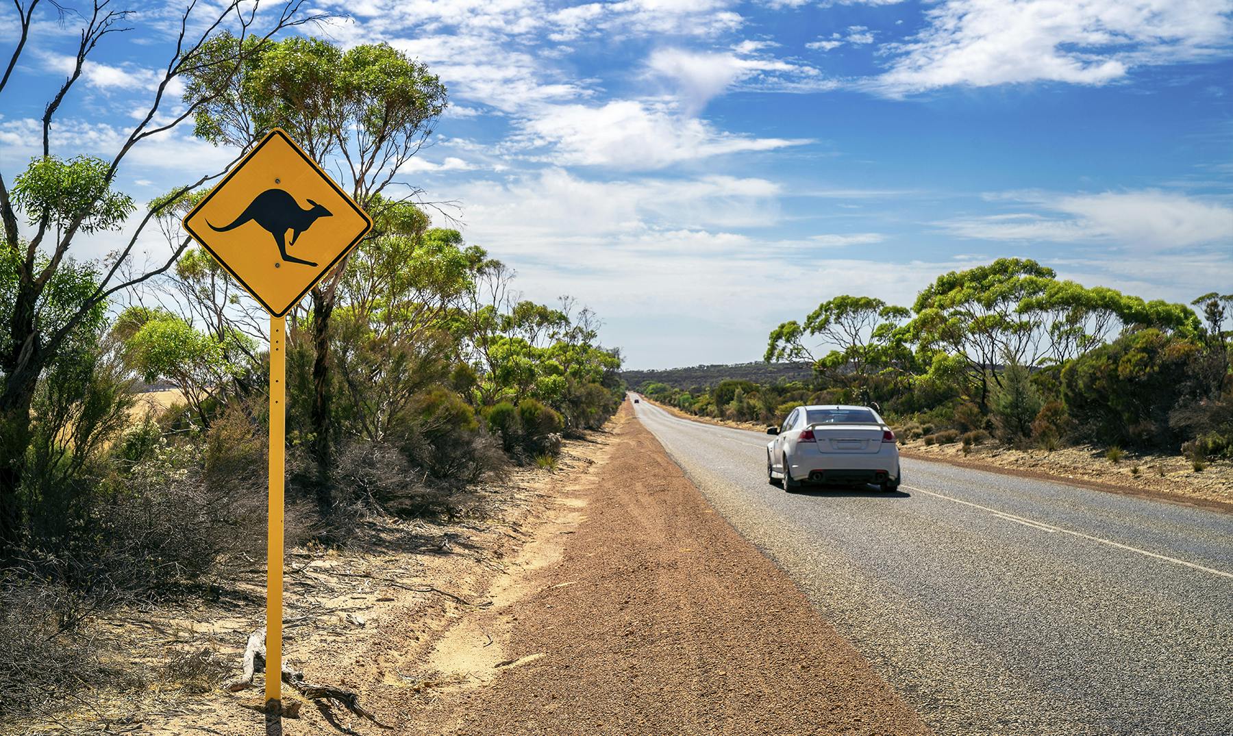 Conducir en Australia | Lo que necesitas para ir sobre ruedas