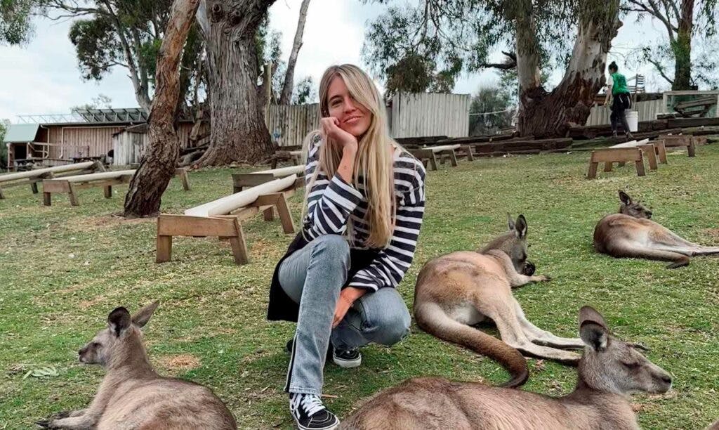 Descubre dónde ver canguros en Australia