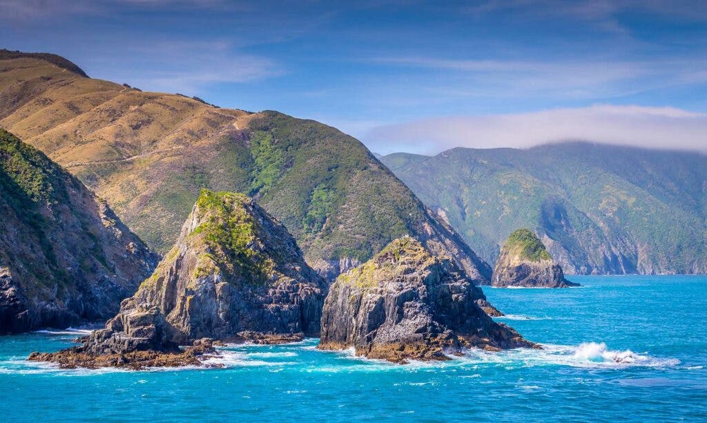 ¡Descubre el encanto del Estrecho de Cook en Nueva Zelanda!
